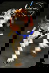 Barkley