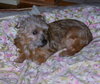 Liza Senior