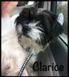 Clarice