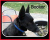 Booker
