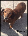 Bootsie
