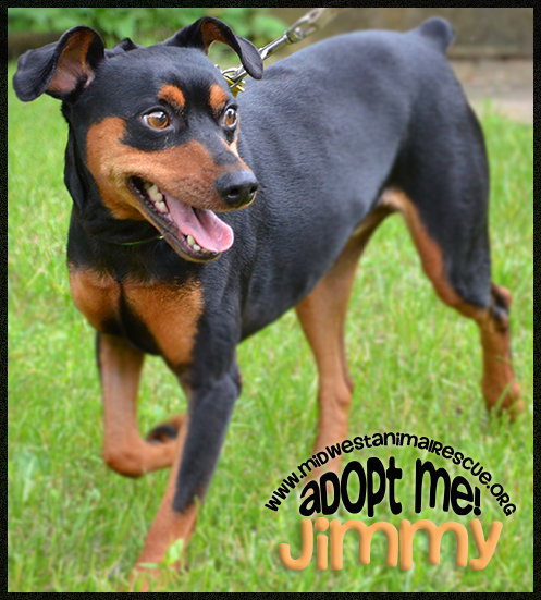 Jimmy