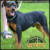 Jimmy
