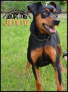 Jimmy