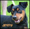 Jimmy