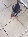 Omar