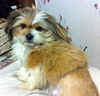 Bailey
