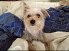 Lola