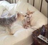 Lola
