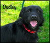 Dudley