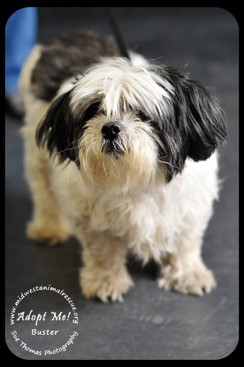 Buster-Senior