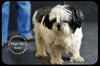 Buster-Senior