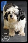 Buster-Senior