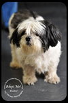 Buster-Senior