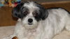 Buster-Senior