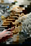 Mia Kay-Puppy