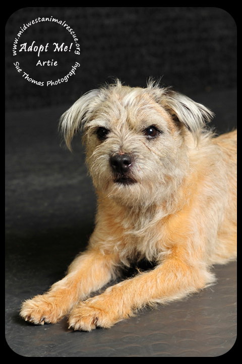 Artie