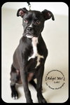 Loki-Foster Needed