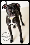 Loki-Foster Needed