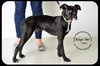 Loki-Foster Needed