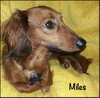 Miles