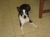 Max