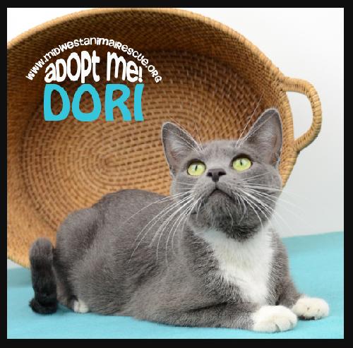 Dori