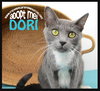 Dori