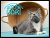 Dori