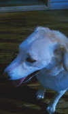 Jill