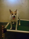 Billy