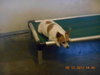 Billy
