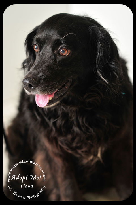 Fiona