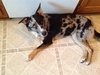 Gretta