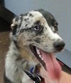 Gretta