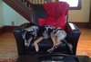 Gretta