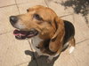 Maxie