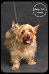 Crosby