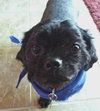 Howie