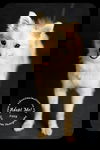 Foxy