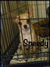 Speedy