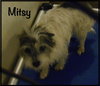 Mitsy