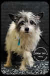 Mitsy