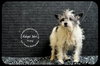 Mitsy