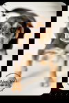 Hutch-Puppy