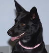 Onyx