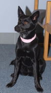 Onyx