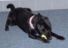Onyx