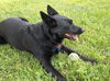 Onyx
