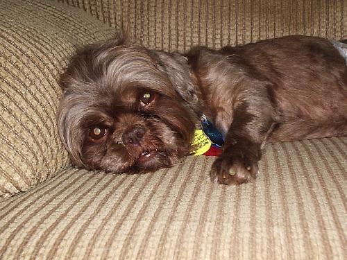 Hershey